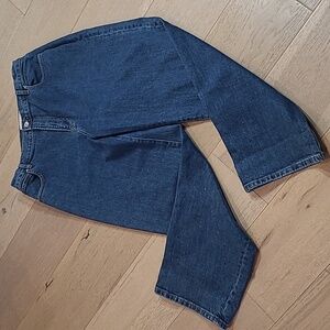 EUC Everlane Jeans Women's sz 32 Long The Way High Organic Cotton Denim Jeans